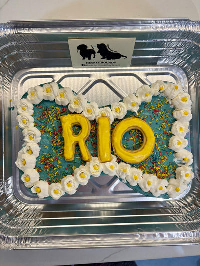Large Bone Celebration Cakes