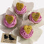 Pupcakes x 4