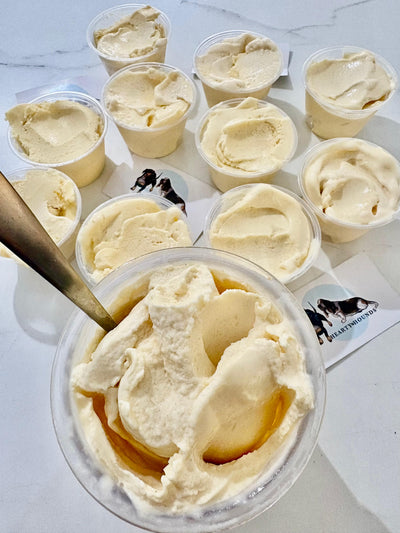 Carrot & Apple Sauce Pup Ice Cream