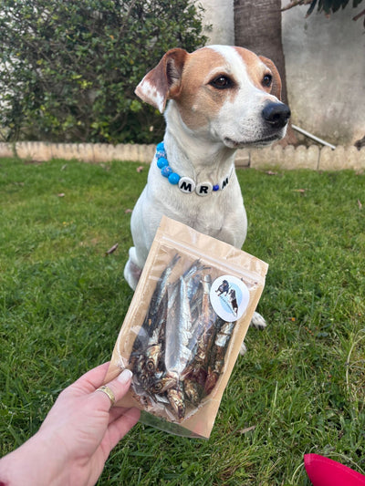 Anchovies